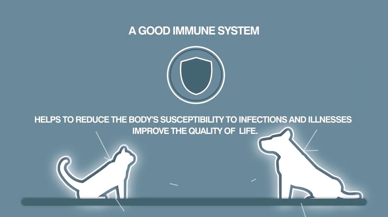 Stärker immunförsvaret